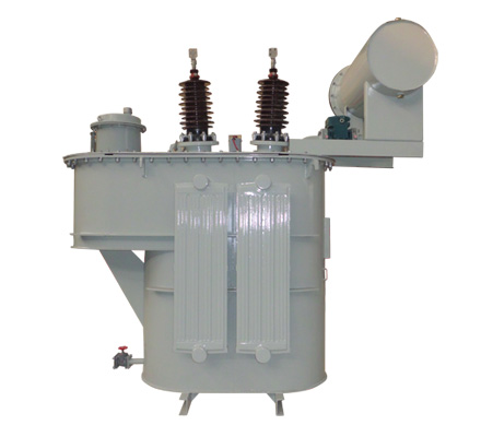 油浸式10KV偏磁接地一体